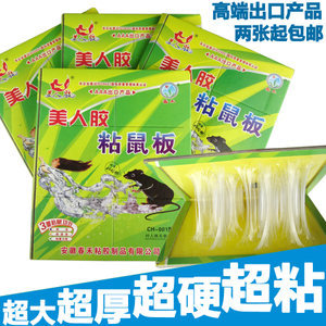 粘鼠板市場價格全解析 超強力厚大型產品選購指南